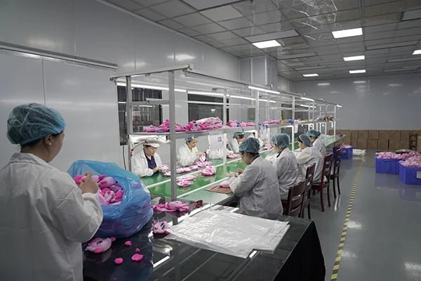 quality inspector testing silicone product samples in laboratory